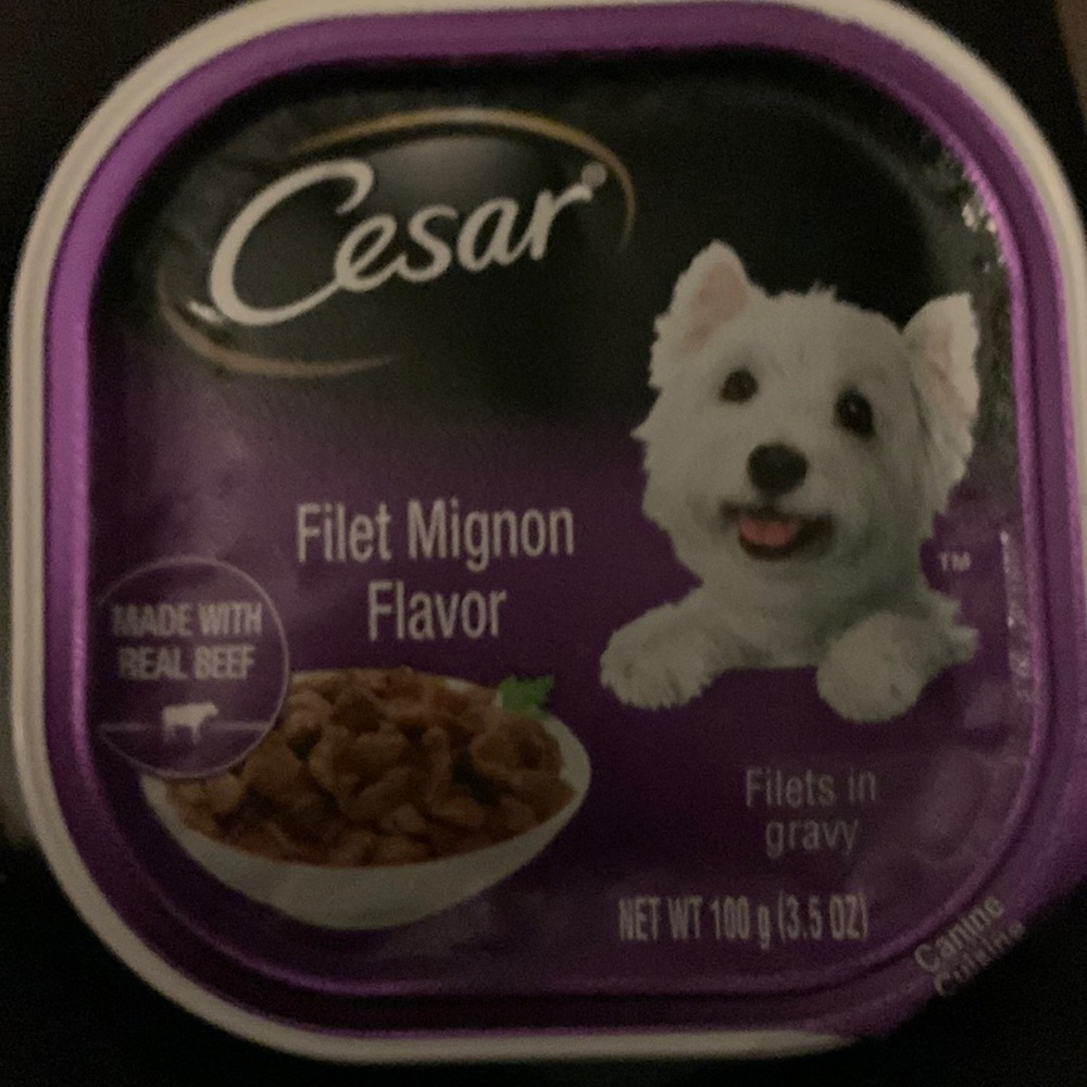 12 cans of Cesar dog food filet mignon flavored